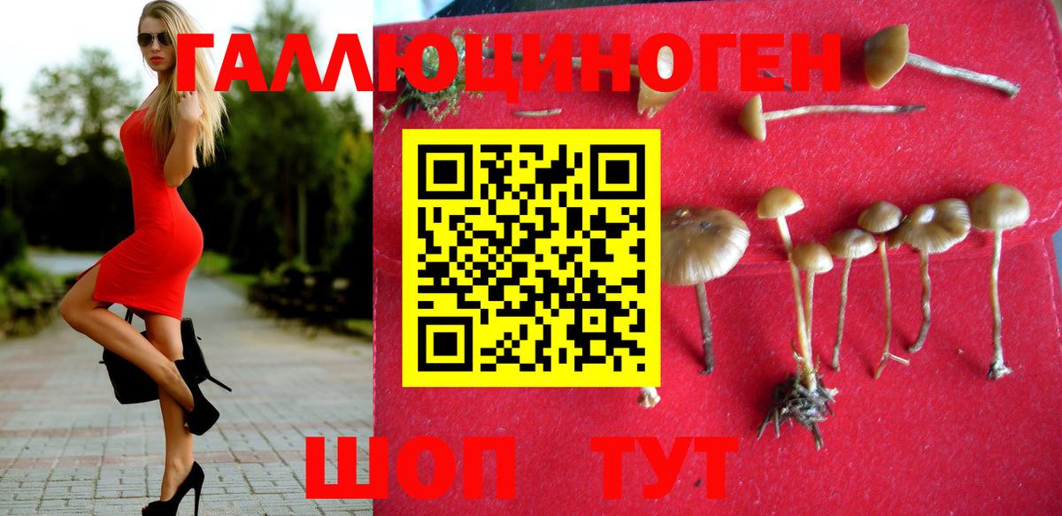 Богородицк  Галлюциногенные грибы GOLDEN TEACHER  Вход с VPN  Галлюциногенные грибы Psilocybine cubensis 